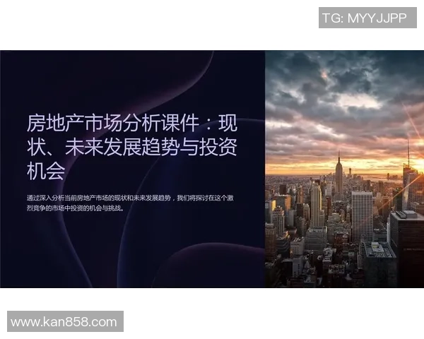 权建与建业在线的全面对比分析及未来发展趋势探讨